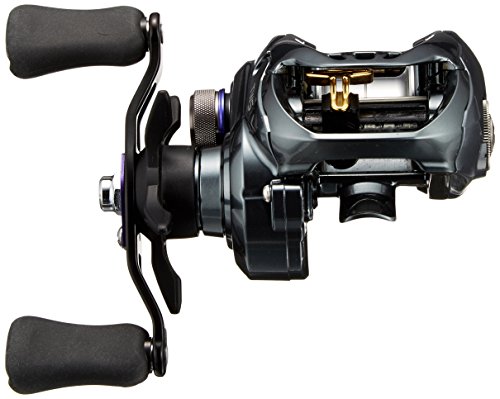 ダイワ(DAIWA) リール タトゥーラ SV TW 8.1R