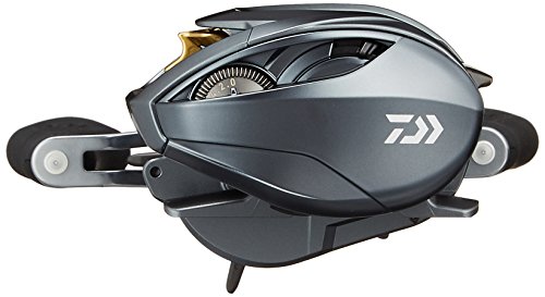 ダイワ(DAIWA) リール スティーズ A TW 1016H