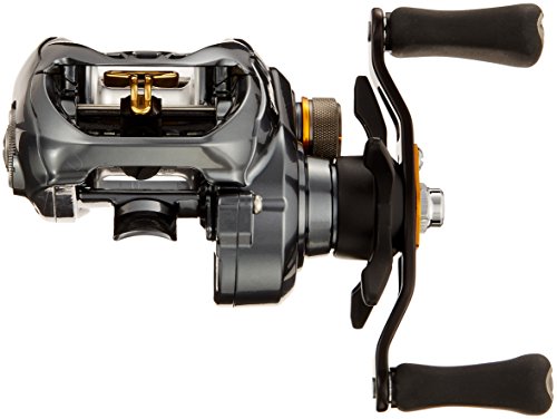 ダイワ(DAIWA) リール タトゥーラ SV TW 6.3L