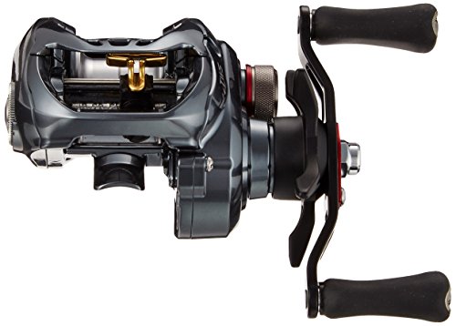 ダイワ(DAIWA) リール タトゥーラ SV TW 7.3L