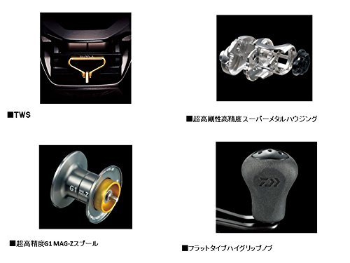 ダイワ(DAIWA) リール スティーズ A TW 1016H