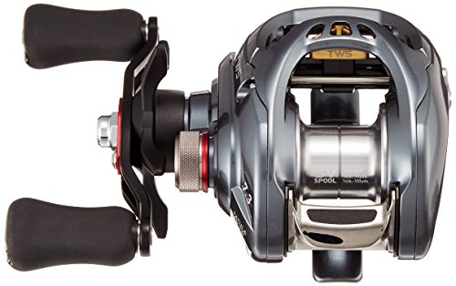 ダイワ(DAIWA) リール タトゥーラ SV TW 7.3L