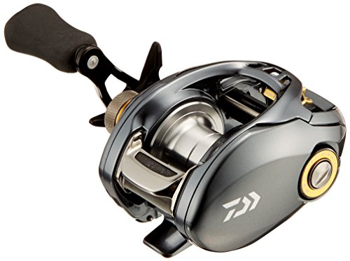 ダイワ(DAIWA) リール タトゥーラ SV TW 6.3L