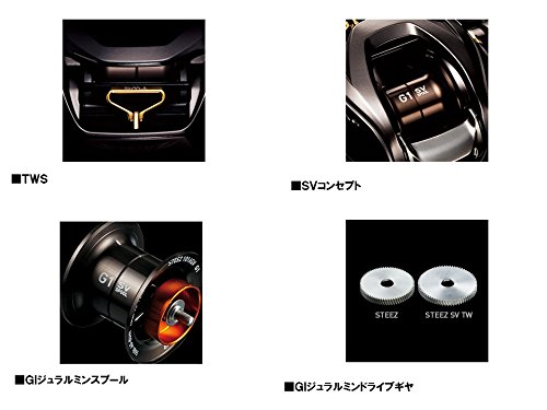 ダイワ(DAIWA) リール スティーズ SV TW 1012SV-XH