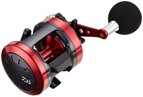 ダイワ(Daiwa) ベイトリール 17ダイナスター 250 タコ釣り・タイラバなど