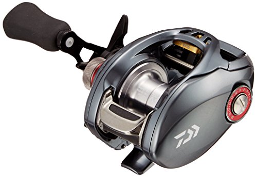 ダイワ(DAIWA) リール タトゥーラ SV TW 7.3L