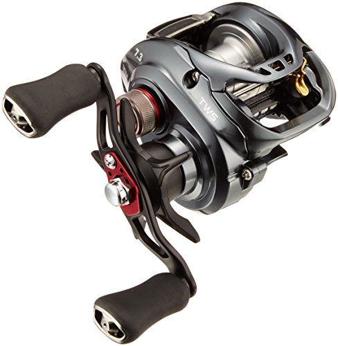 ダイワ(DAIWA) リール タトゥーラ SV TW 7.3R