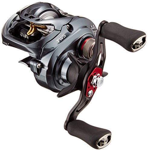 ダイワ(DAIWA) リール タトゥーラ SV TW 7.3L