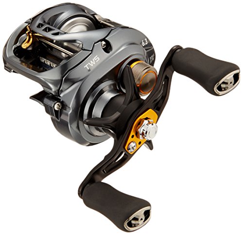 ダイワ(DAIWA) リール タトゥーラ SV TW 6.3L