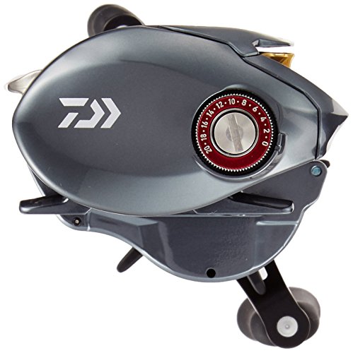 ダイワ(DAIWA) リール タトゥーラ SV TW 7.3L