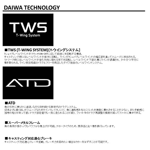 ダイワ リール 18 スパルタン TW 100HL