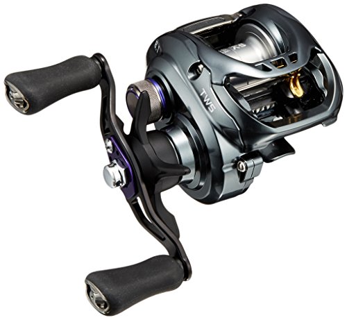 ダイワ(DAIWA) リール タトゥーラ SV TW 8.1R