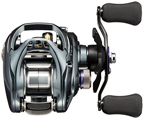 ダイワ(DAIWA) リール タトゥーラ SV TW 8.1R