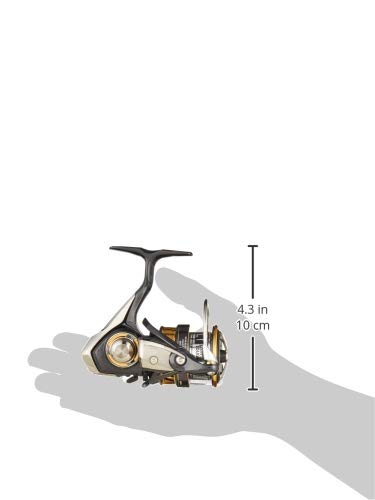 ダイワ(DAIWA) スピニングリール レガリス LT3000-CXH