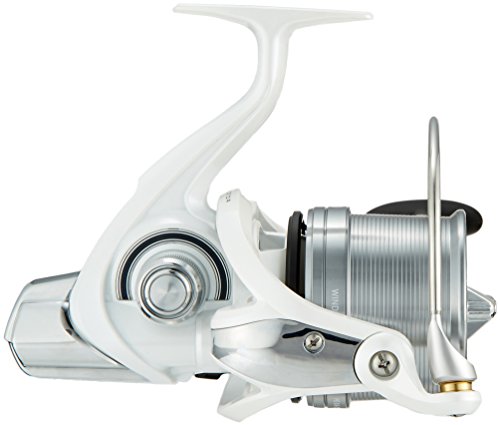 ダイワ(Daiwa) スピニングリール 17 ウインドサーフ35 細糸