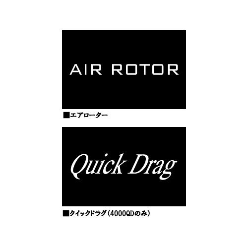 ダイワ(Daiwa) スピニングリール 17クロスキャスト 4000