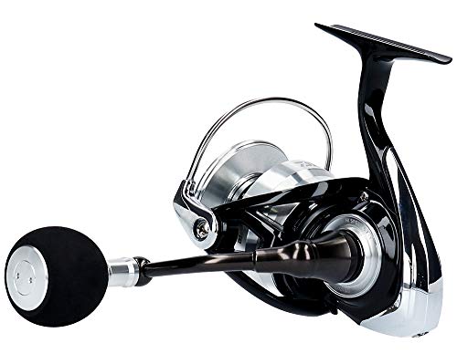 ダイワ(DAIWA) スピニングリール 6000 レグザ LT6000D-H 2019モデル