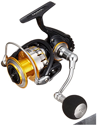 ダイワ(Daiwa) スピニングリール 16 ブラスト 4000H