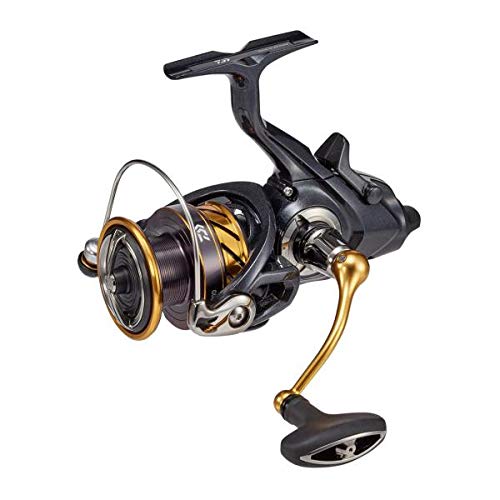 ダイワ(DAIWA) リール 19 アオリマチック BR LT3000D