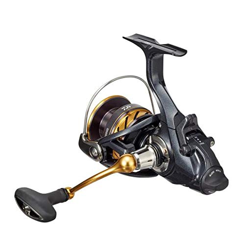 ダイワ(DAIWA) リール 19 アオリマチック BR LT3000D