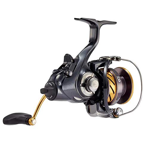 ダイワ(DAIWA) リール 19 アオリマチック BR LT3000D