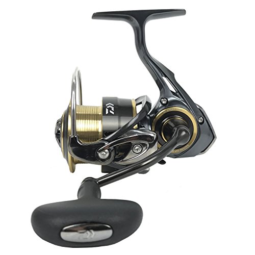 ダイワ(Daiwa) スピニングリール 17 セオリー 3012H (3000サイズ)