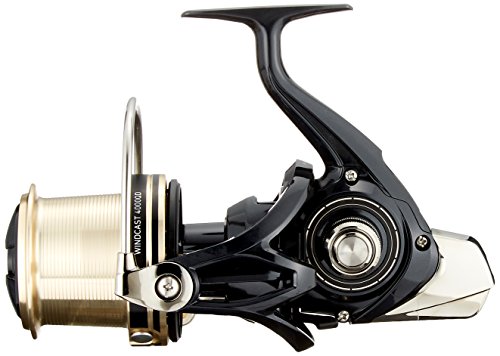 ダイワ(Daiwa) スピニングリール 17ウインドキャスト 4000QD