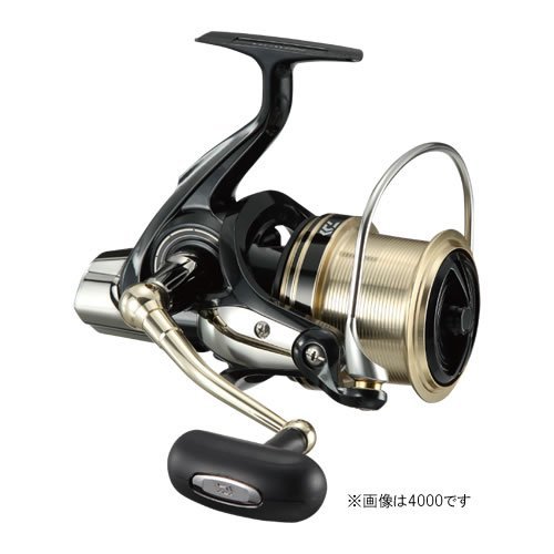 ダイワ(Daiwa) スピニングリール 17ウインドキャスト 4500