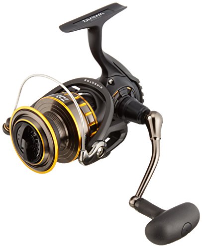 ダイワ(Daiwa) スピニングリール 16 BG 4000H