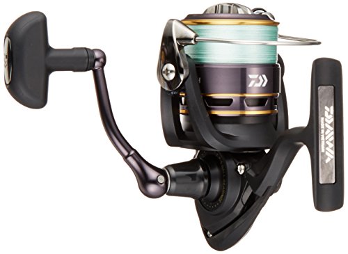 ダイワ(Daiwa) スピニングリール 16 リーガル 2508H PE付 (2500サイズ)