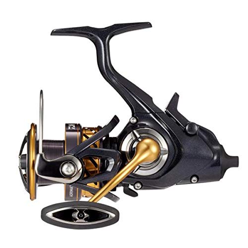 ダイワ(DAIWA) リール 19 アオリマチック BR LT3000D