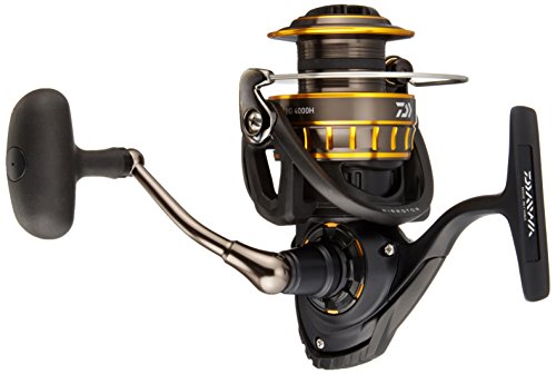 ダイワ(Daiwa) スピニングリール 16 BG 4000H