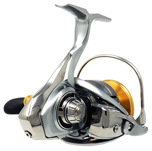 ダイワ(Daiwa) スピニングリール 5000 フリームス(2018) LT5000D-CXH