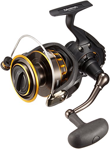 ダイワ(Daiwa) スピニングリール 16 BG 5000H