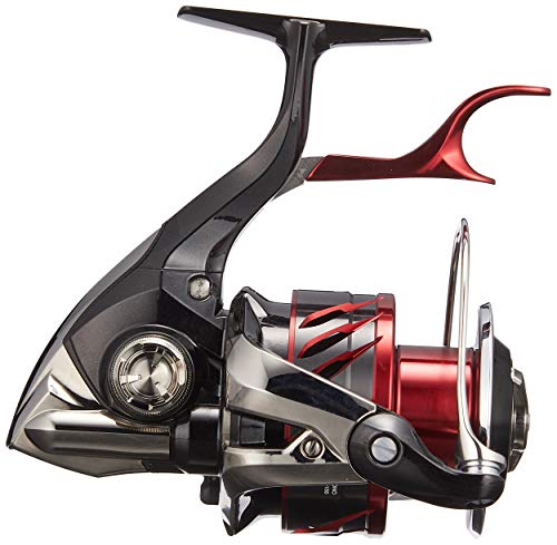 シマノ(SHIMANO) リール 18 BB-X レマーレ 6000D