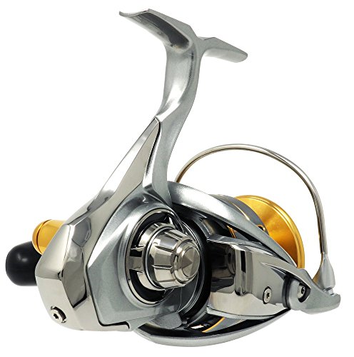 ダイワ(Daiwa) スピニングリール 6000 フリームス(2018) LT6000D-H