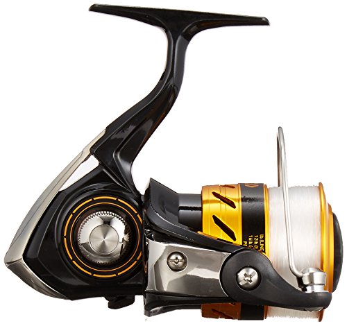 ダイワ(Daiwa) スピニングリール 17 ワールドスピン 3000