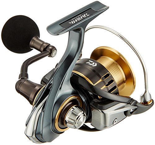 ダイワ(Daiwa) スピニングリール 17 セオリー 3500PE-H