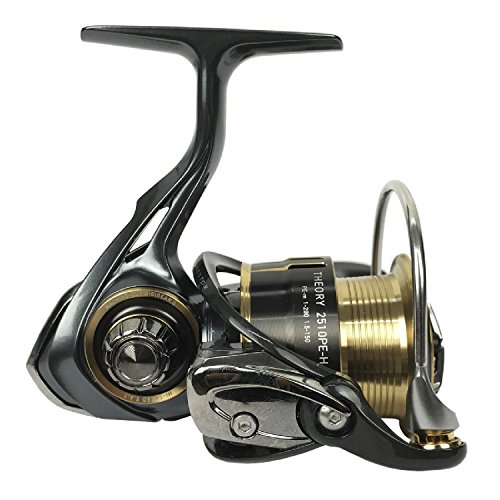 ダイワ(Daiwa) スピニングリール 17 セオリー 2510PE-H (2500サイズ)