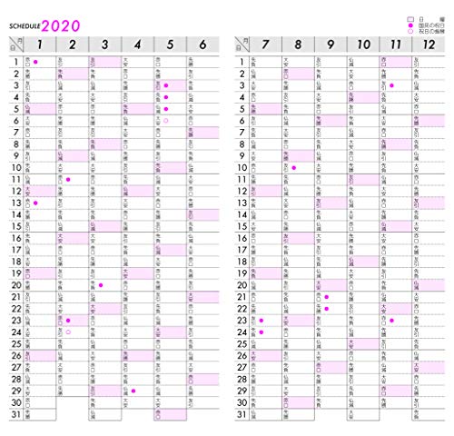 111 生産性手帳 差換用年度スケジュール・週間タイプWサイズ 2020年版