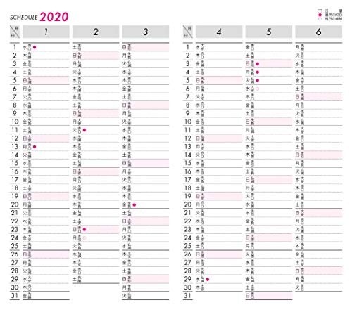 110 生産性手帳 差換用年度スケジュール・月間タイプMサイズ 2020年版