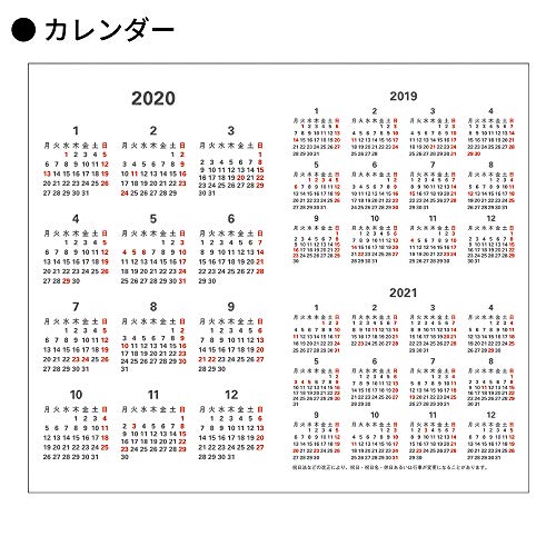 ダイゴー 手帳 2020年 アポイント 薄型 マンスリー レッド E2287 2019年 9月始まり