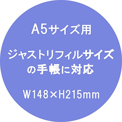 レイメイ藤井 ダヴィンチ 手帳用リフィル カラーインデックス 4区分 A5 DAR4520