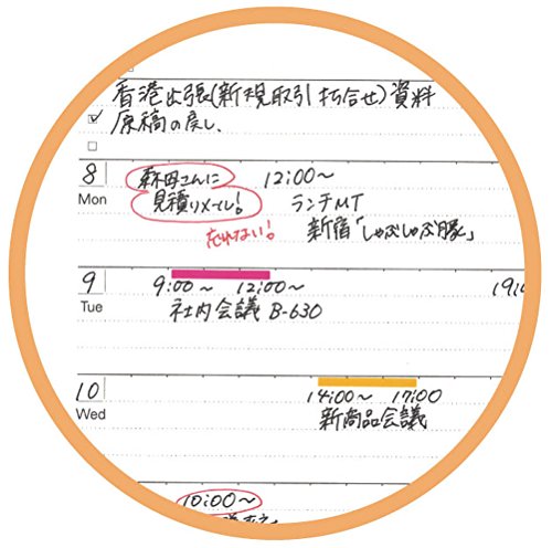 レイメイ藤井 システムノート フリーウィークリースケジュール レフト式 B5 NT245