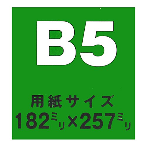 イワタ 額縁 プリパネ JISサイズ B5 アルミフレーム グレー PA-20SG-B5