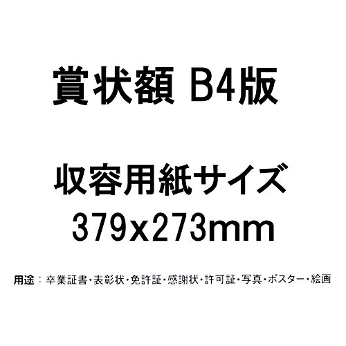 イワタ 額縁 賞状額 B4 ナチュラル MS-61G-B4-NT