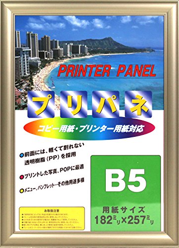 イワタ 額縁 プリパネ JISサイズ B5 アルミフレーム グレー PA-20SG-B5