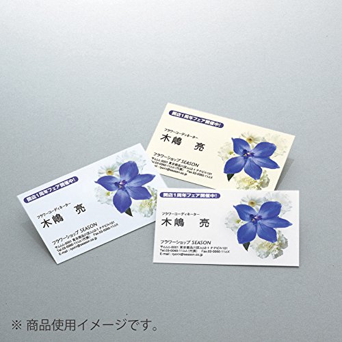 コクヨ インクジェット 名刺用紙 マイクロミシン ナチュラルホワイト KJ-VS10W