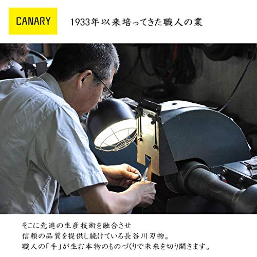 長谷川刃物 CANARY はさみ 極細 デザイン用 ボンドフリー カーブ刃 DSB-100C