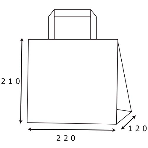 ヘイコー 手提げ紙袋 ロー引き袋 WT-S 220×210×マチ120mm 10枚